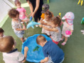 /album/baby-bear-kindergarten/0-02-05-15bb114dc1ebe975aa64562a9f8a6092ac32a770da392cfa1b156c5a85b9fcff-2d626bbe1101395c-jpg1/